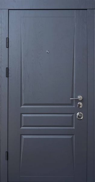 Вхідні двері Qdoors Авангард Тріно
